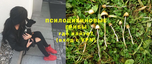 синтетический гашиш Армянск